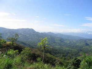Honduras 479 0