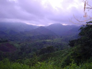 DSC00212
