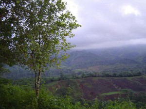 DSC00213 0