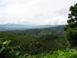100-0047 IMG